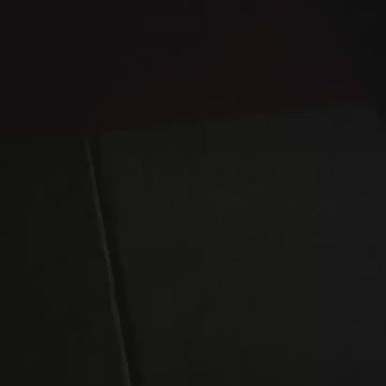 Toyota 4Runner Welcome Lights | Door Lights | Projector [2 Door Lights]