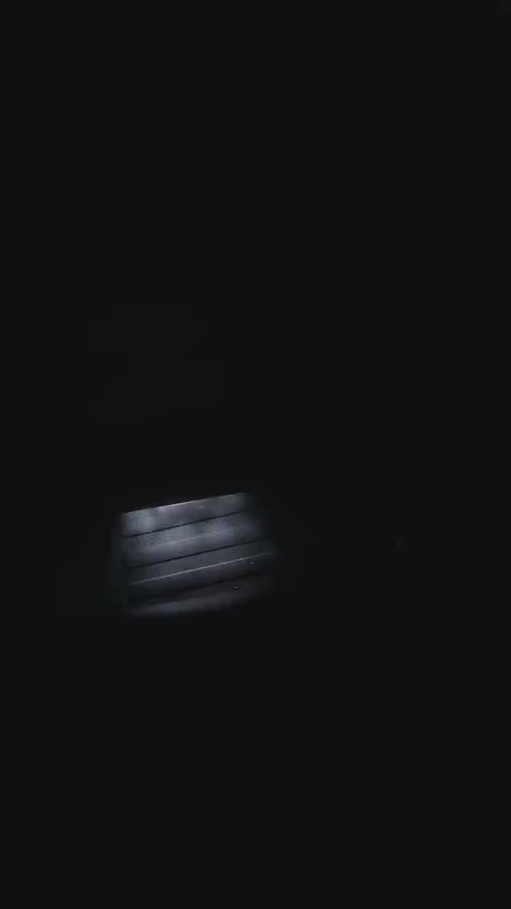Toyota 4Runner Welcome Lights | TRD | Door Lights | Projector | 5th Generation [2 Door Lights]